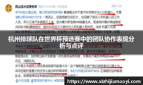 杭州排球队在世界杯预选赛中的团队协作表现分析与点评